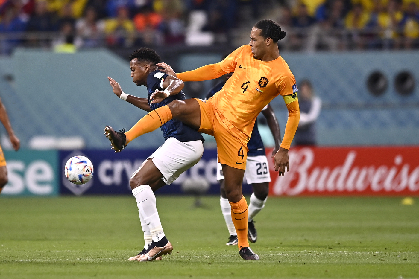 Olanda Ecuador in campo in Qatar 2022